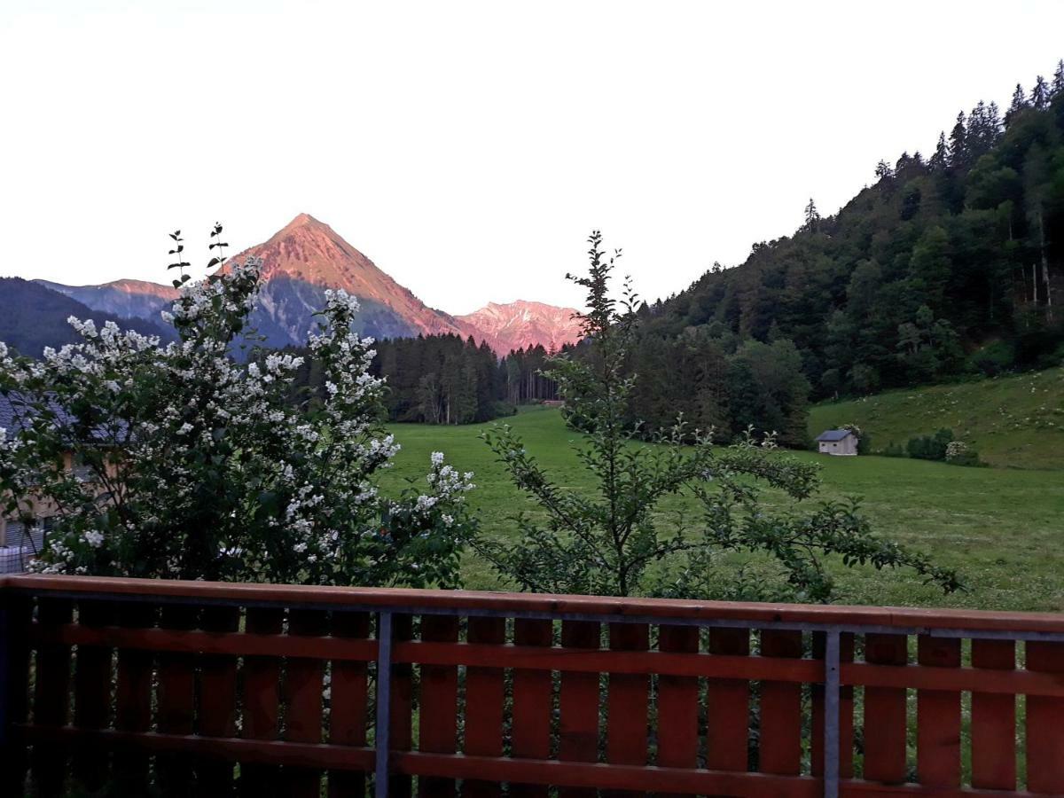 Apartament Haus Stabentheiner Au (Vorarlberg) Zewnętrze zdjęcie
